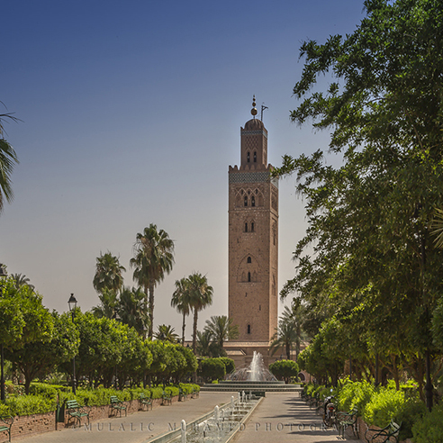 Marrakechs